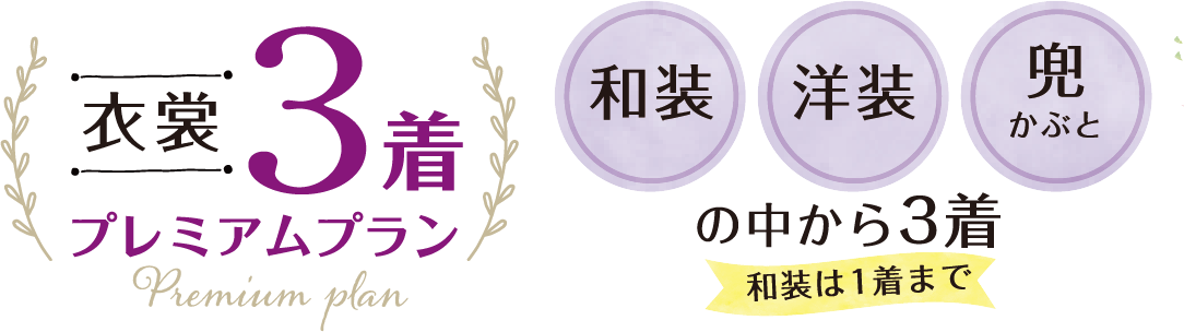 衣裳 2着コース　和装　洋装　兜の中から2着　和装は1着まで